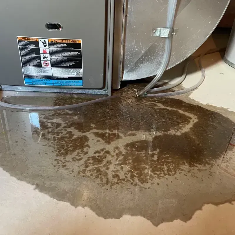 Appliance Leak Cleanup in Gretna, NE